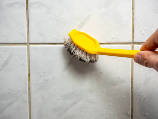 Best Mold Removal Near Me  in Lapeer, MI