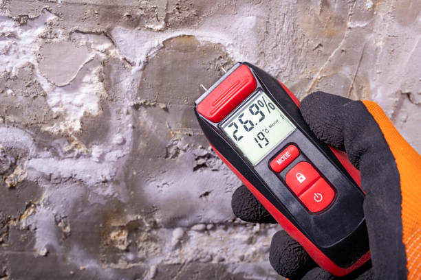 Best Crawl Space Mold Removal  in Lapeer, MI