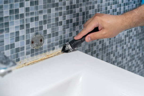 Best Home Mold Removal  in Lapeer, MI